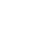Exercise of Rivelle S&amp;P at lawfirm